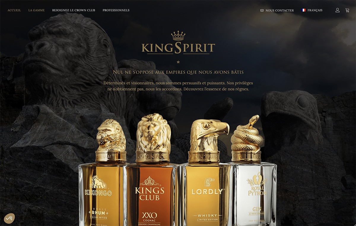 Site internet KingSpirit